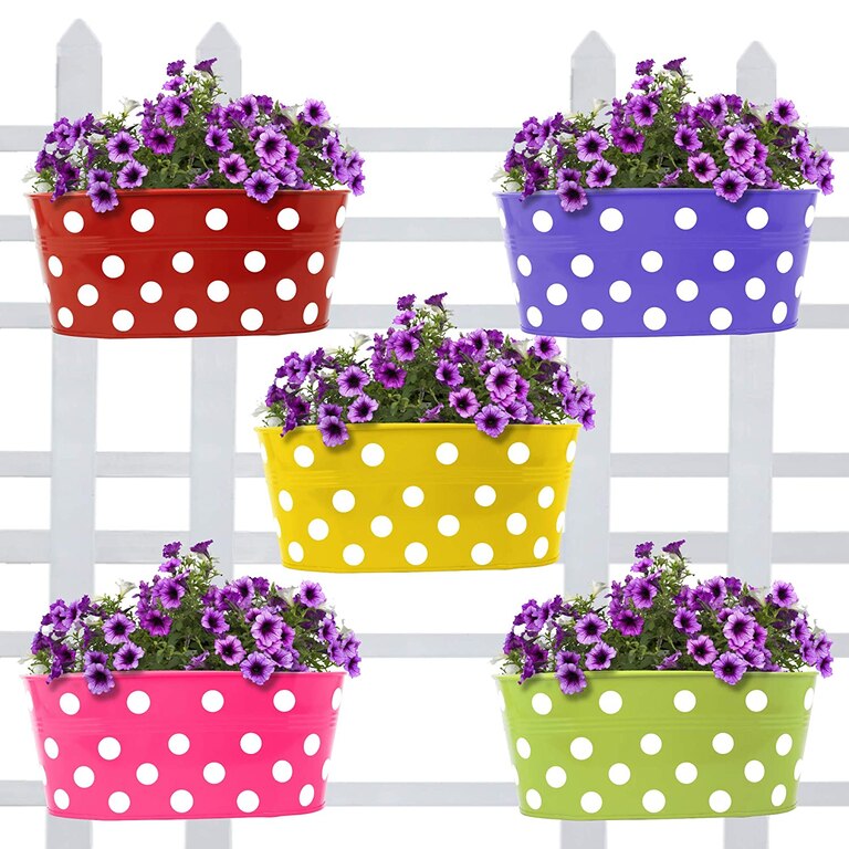 Dotted Oval Railing Planters (Multicolour, Pack Of 5)